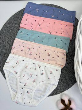 Трусики Дитячі Donella 5 шт 411301 DONDON411301 фото